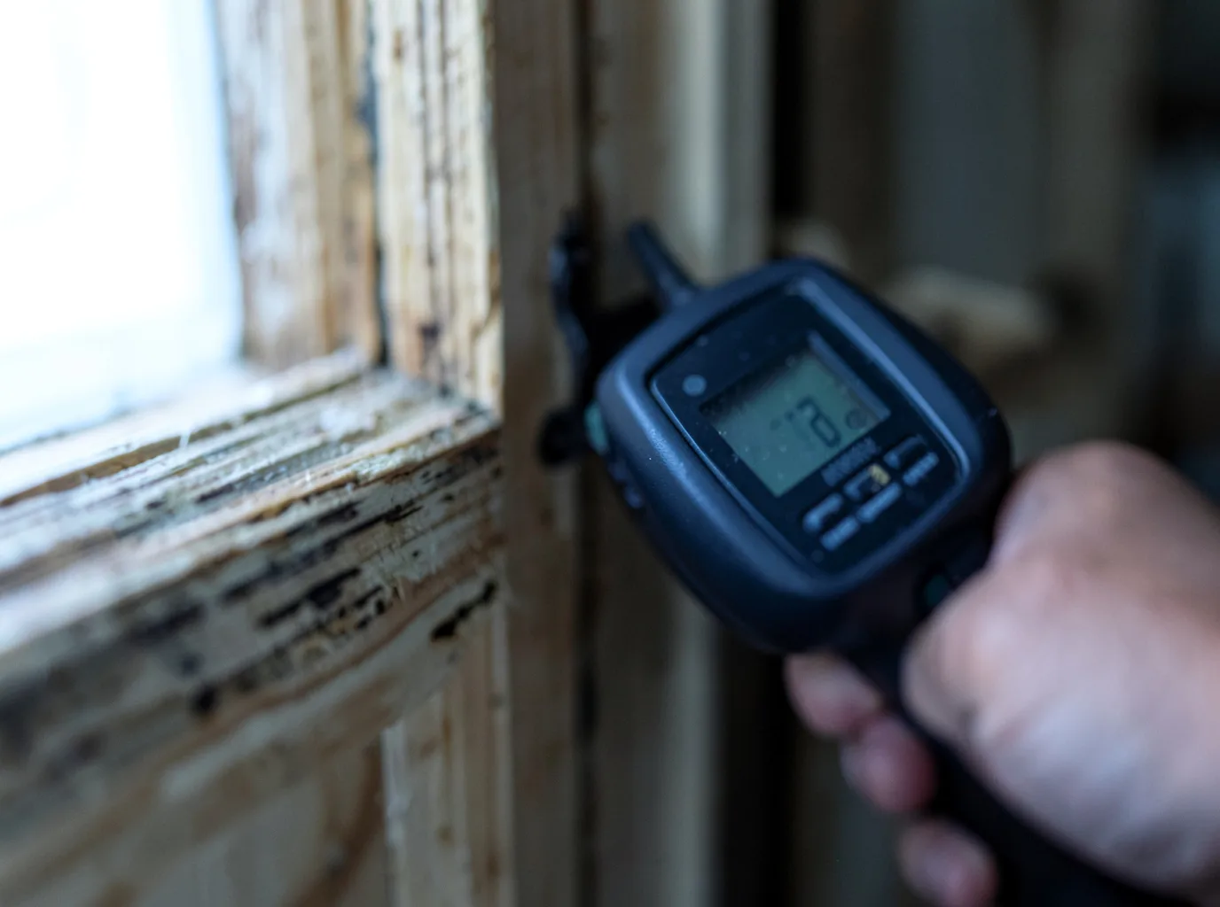 Moisture Inspection And Documentation in Eddy, TX
